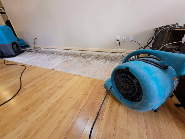 Reliable Basement Flood Cleanup contractor in Jamestown, ND by Hirex Water Damage