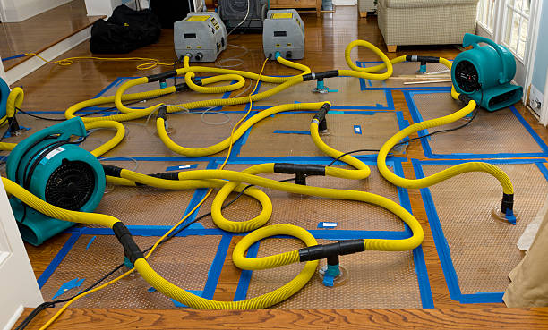 Professional Basement Flood Cleanup technician working in Jamestown, ND