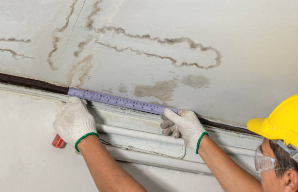 Affordable Water Damage Repair solutions in Jamestown, ND